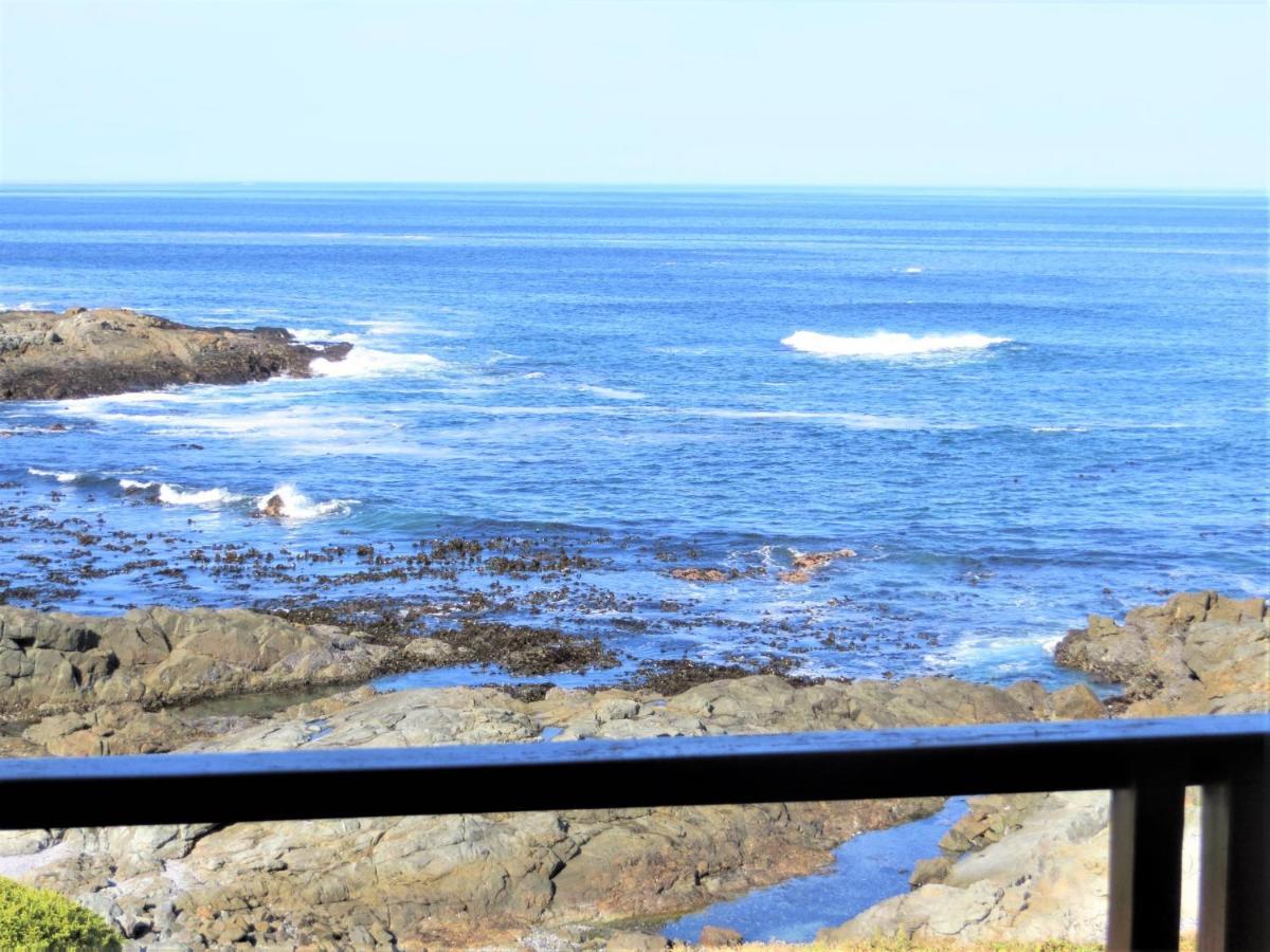 Hotel Lewens-Essens On C Yzerfontein Zewnętrze zdjęcie